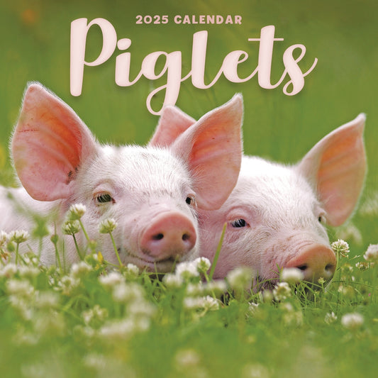 Piglets Mini Calendar 2025