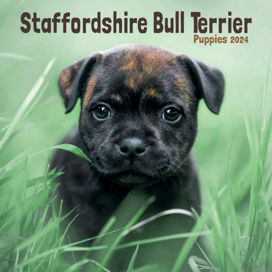 Staffordshire Bull Terrier Puppies Mini Calendar 2025