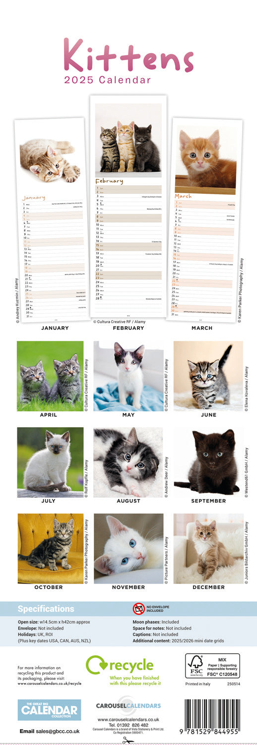 Kittens (PFP)Slim Calendar 2025