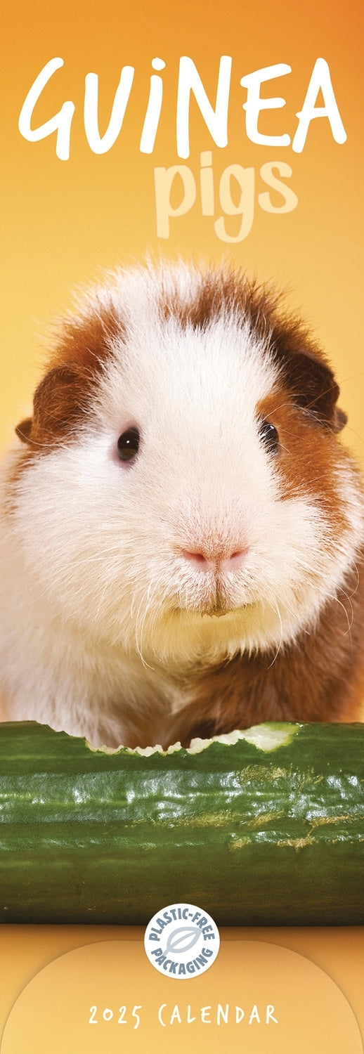 Guinea Pigs (PFP)Slim Calendar 2025