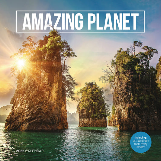 Amazing Planet Wall Calendar (PFP) 2025