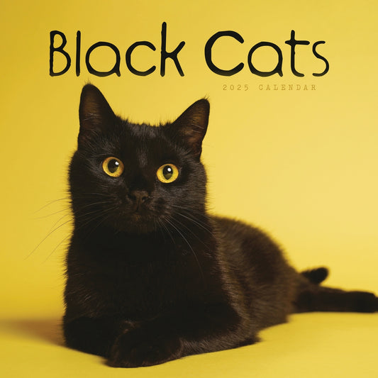 Black Cats (PFP) Wall Calendar 2025