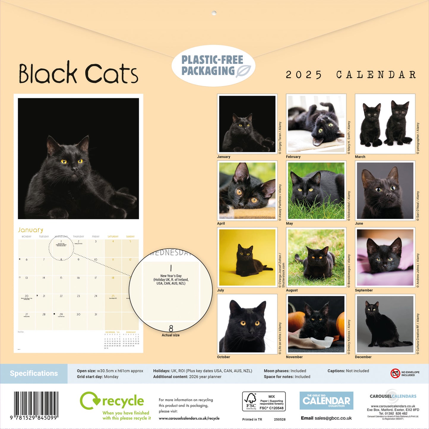 Black Cats (PFP) Wall Calendar 2025