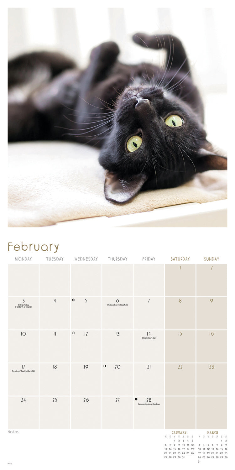 Black Cats (PFP) Wall Calendar 2025