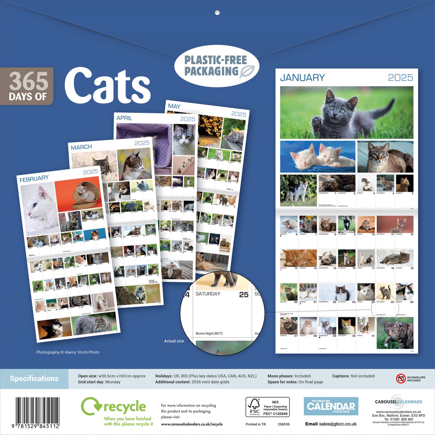 Cats 365 Days (PFP) Wall Calendar 2025