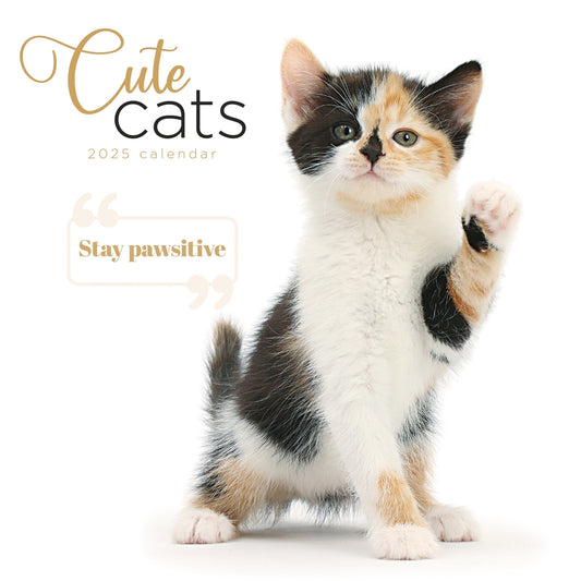 Cute Cats Wall Calendar (PFP) 2025