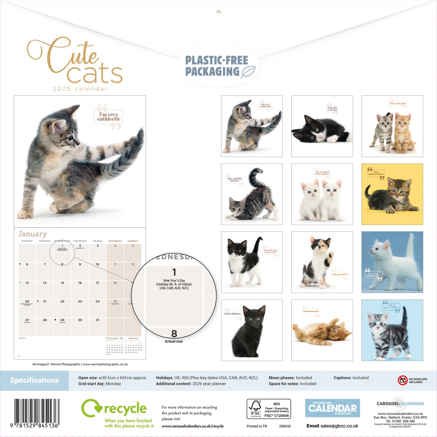 Cute Cats Wall Calendar (PFP) 2025