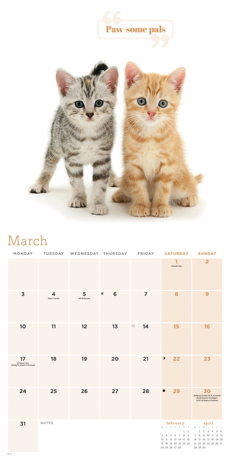 Cute Cats Wall Calendar (PFP) 2025