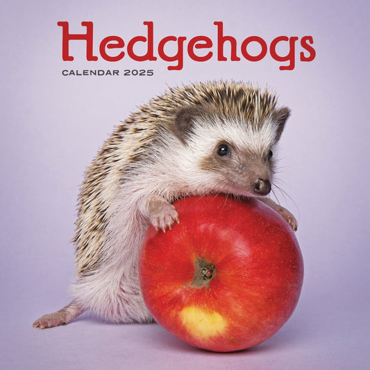 Hedgehogs (PFP) Wall Calendar 2025