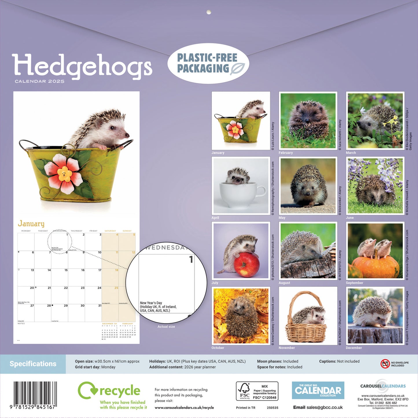 Hedgehogs (PFP) Wall Calendar 2025