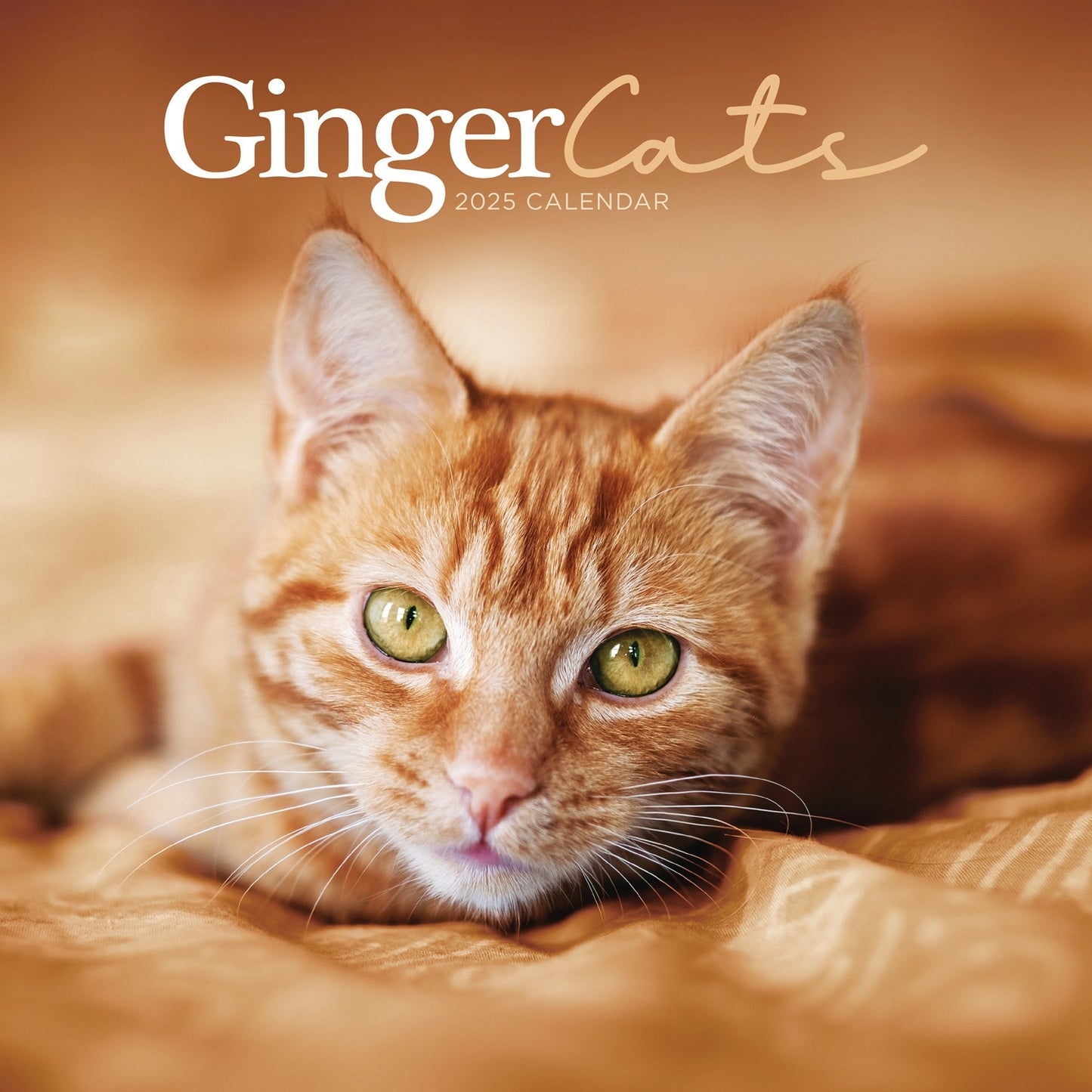 Ginger Cats (PFP) Wall Calendar 2025