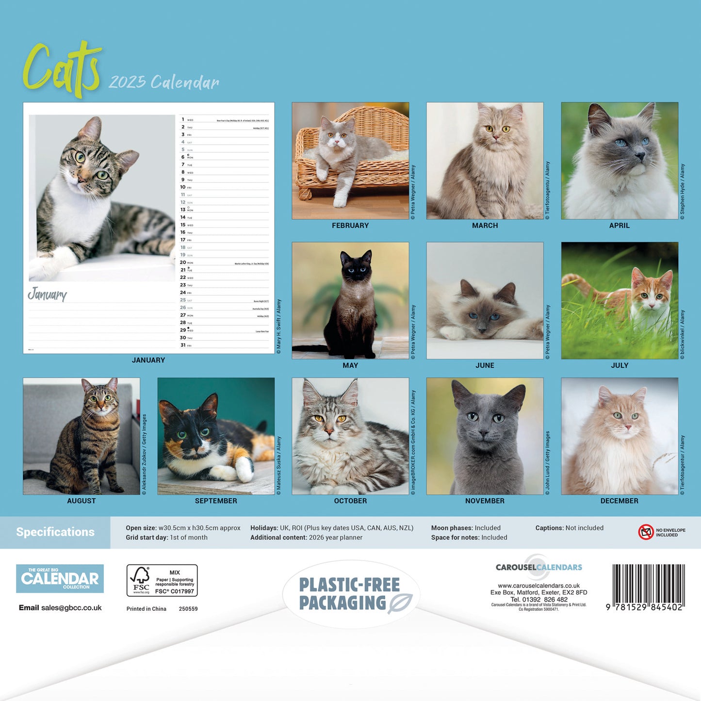 Cats Wiro Wall Calendar 2025