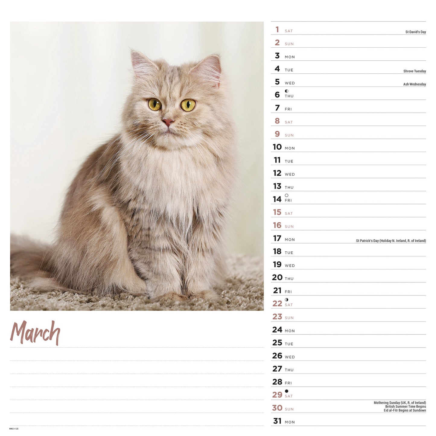 Cats Wiro Wall Calendar 2025