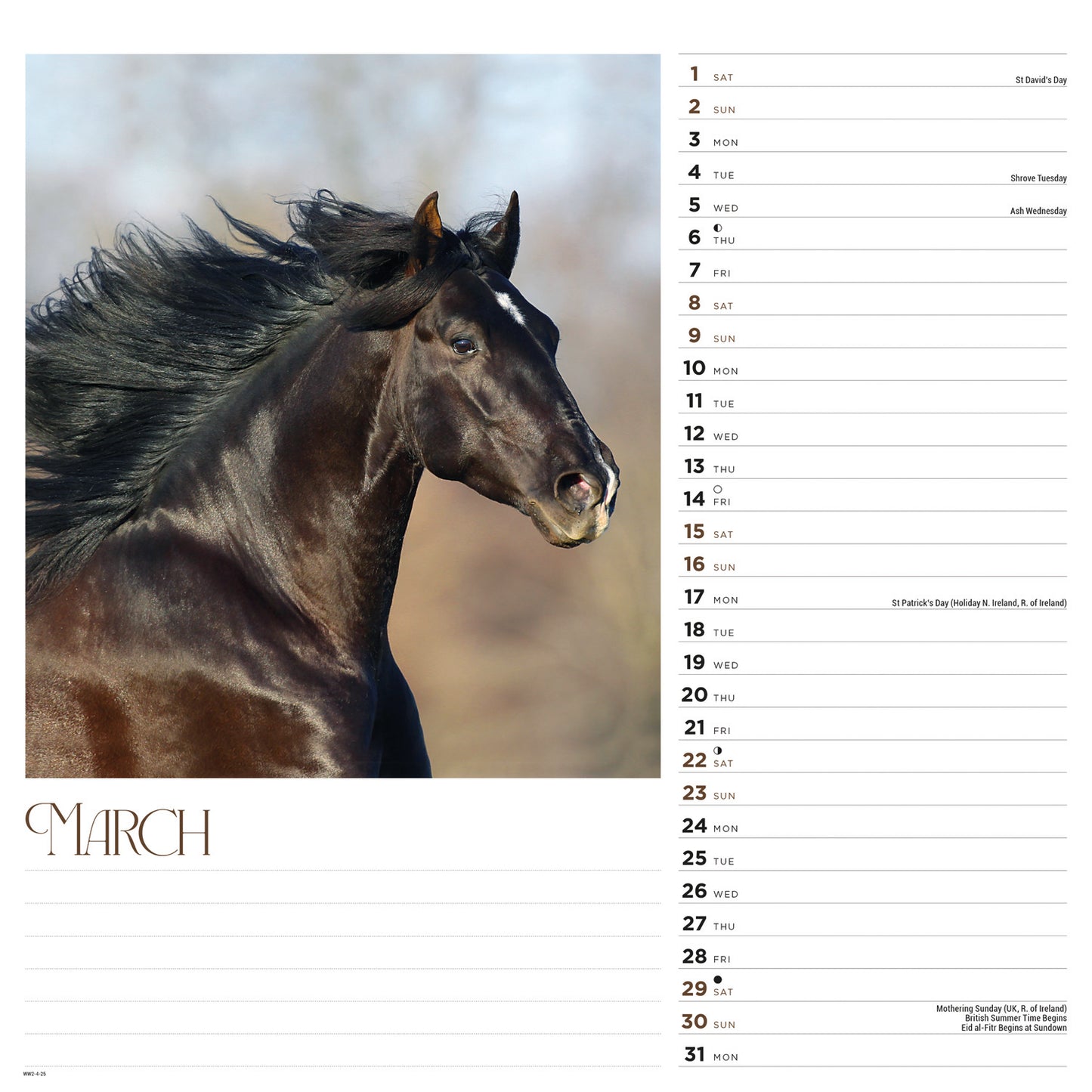 Horses Wiro Wall Calendar 2025