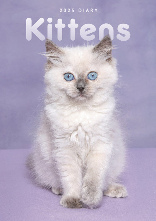 Kittens A5 Engagement Diary 2025