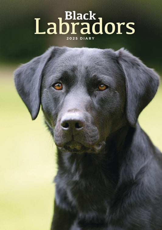 Labrador Retrievers Black A5 Engagement Diary 2025