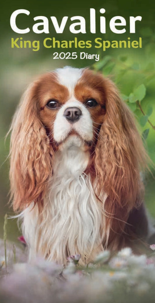 Cavalier King Charles Spaniels Slim Diary 2025