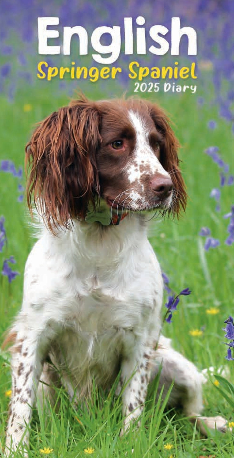 English Springer Spaniels Slim Diary 2025