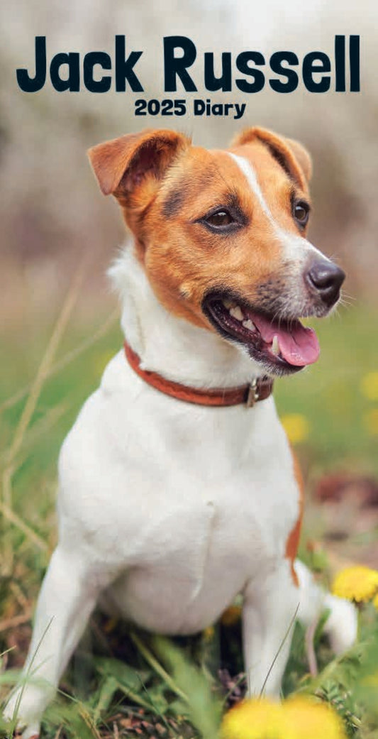 Jack Russell Terriers Slim Diary 2025