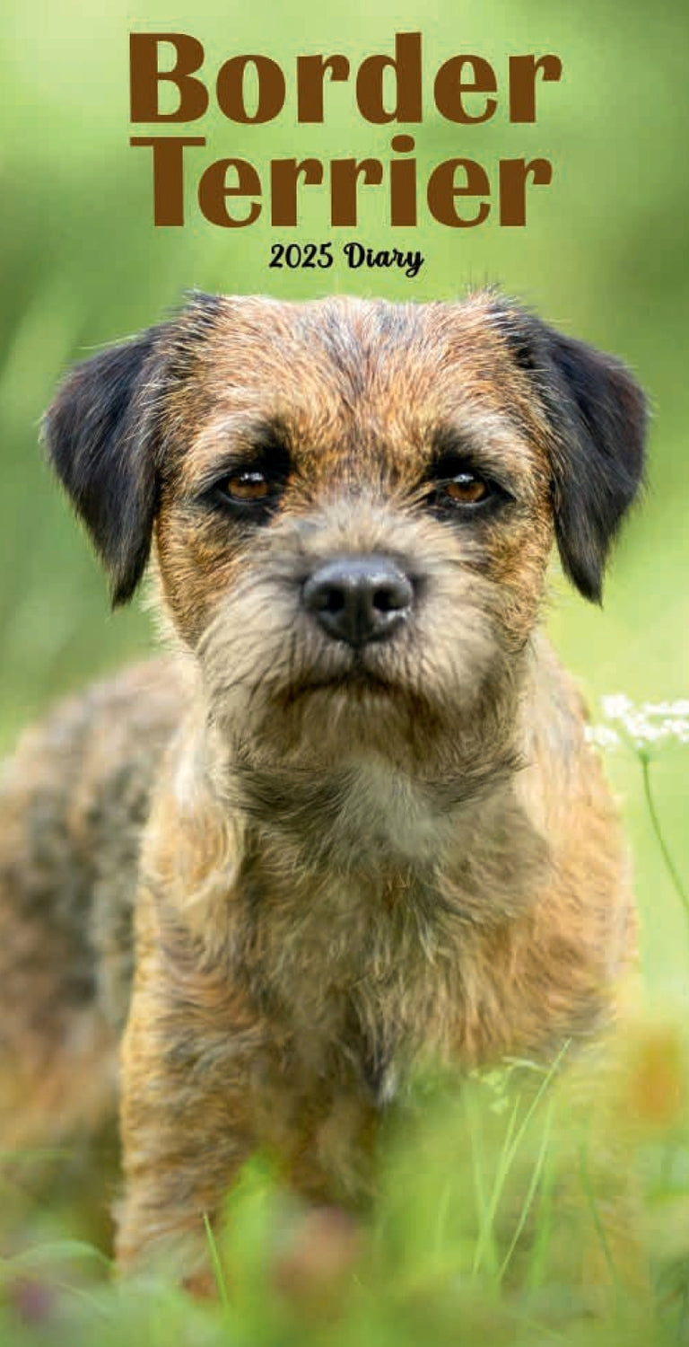 Border Terriers Slim Diary 2025