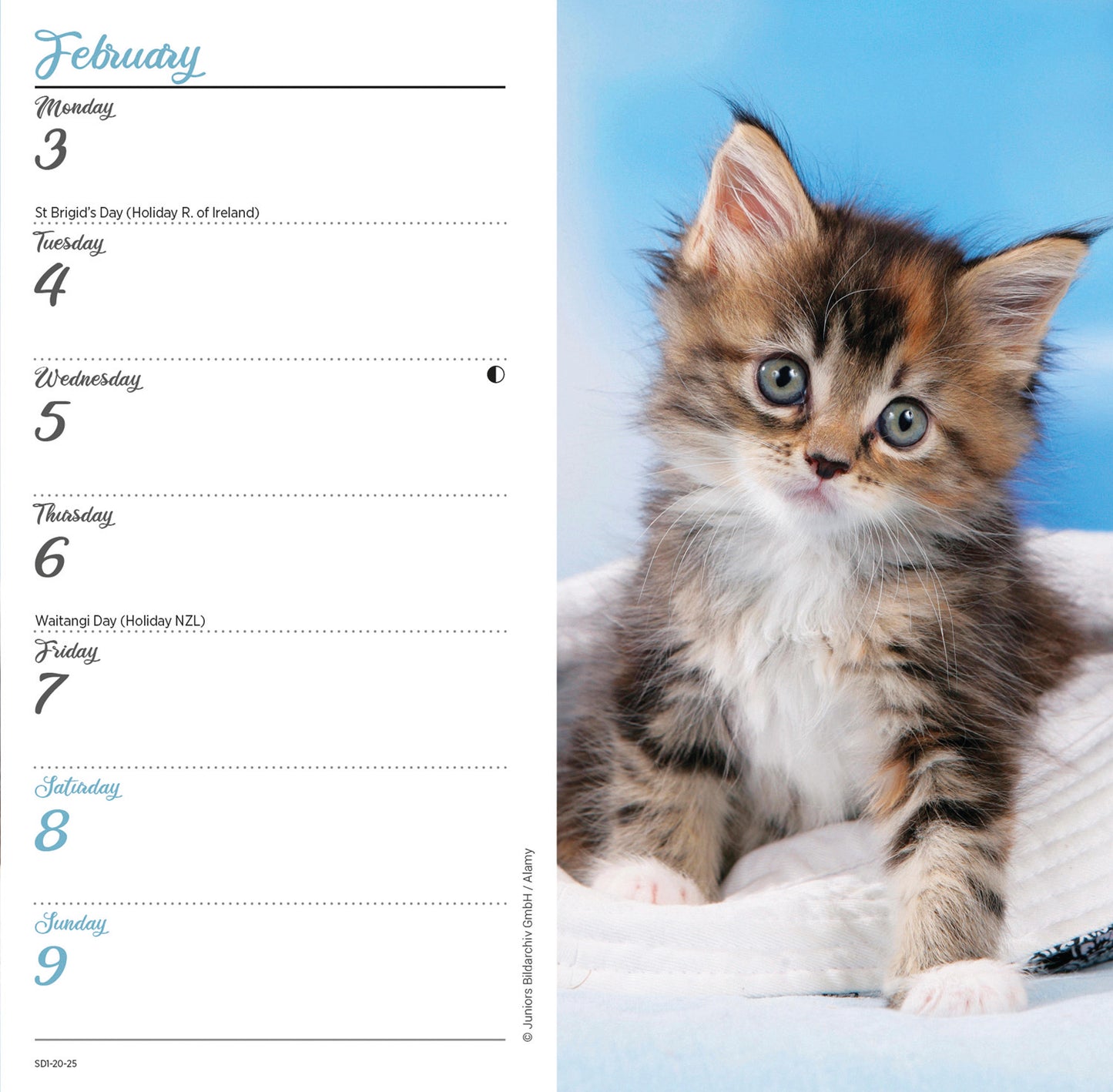 Kittens Slim Diary 2025