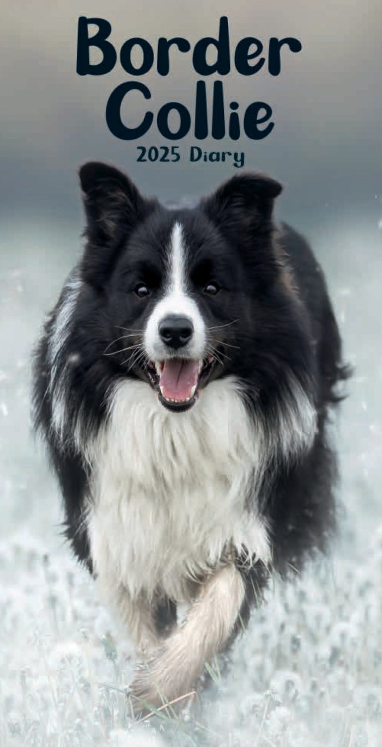 Border Collies Slim Diary 2025