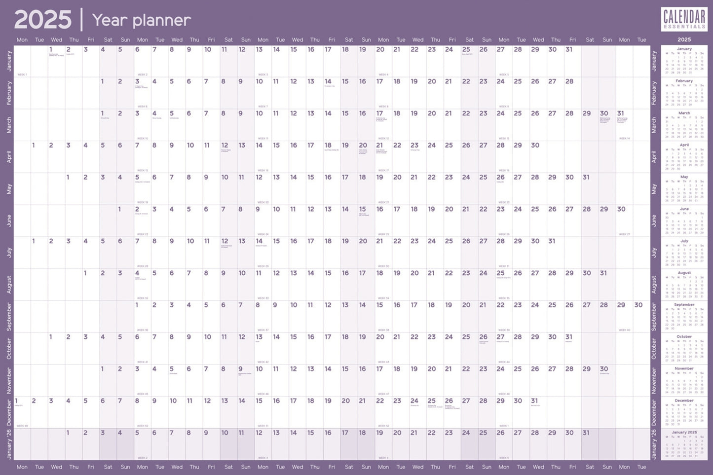 Essential Roll Planner Deluxe Wall Calendar 2025