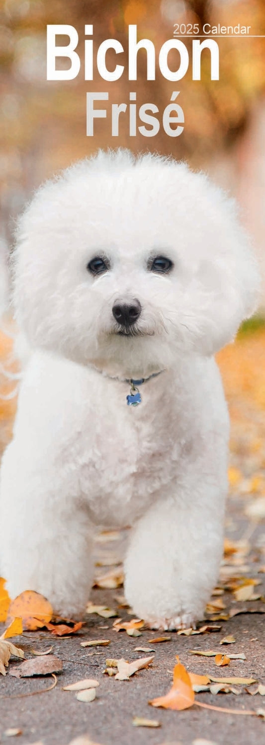 Bichon Frise Slim Calendar 2025