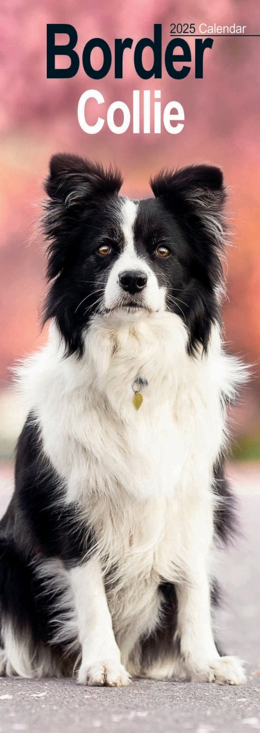 Border Collie Slim Calendar 2025