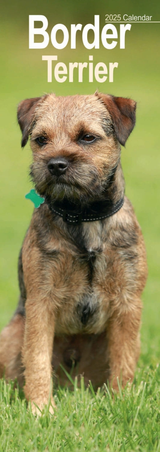 Border Terrier Slim Calendar 2025