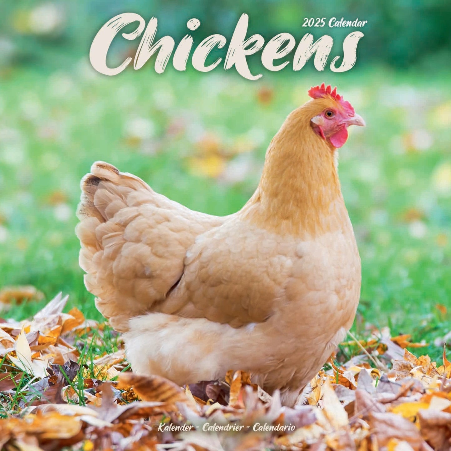 Chickens Wall Calendar 2025