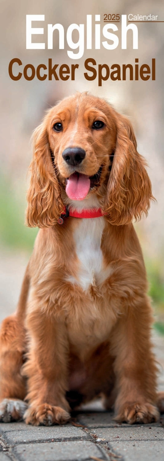 English Cocker Spaniel Slim Calendar 2025