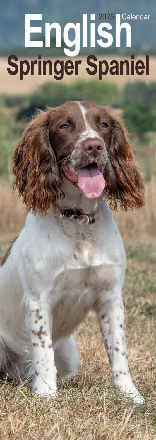 English Springer Spaniel Slim Calendar 2025