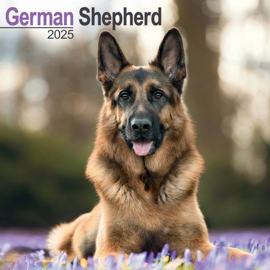 German Shepherds Wall Calendar 2025