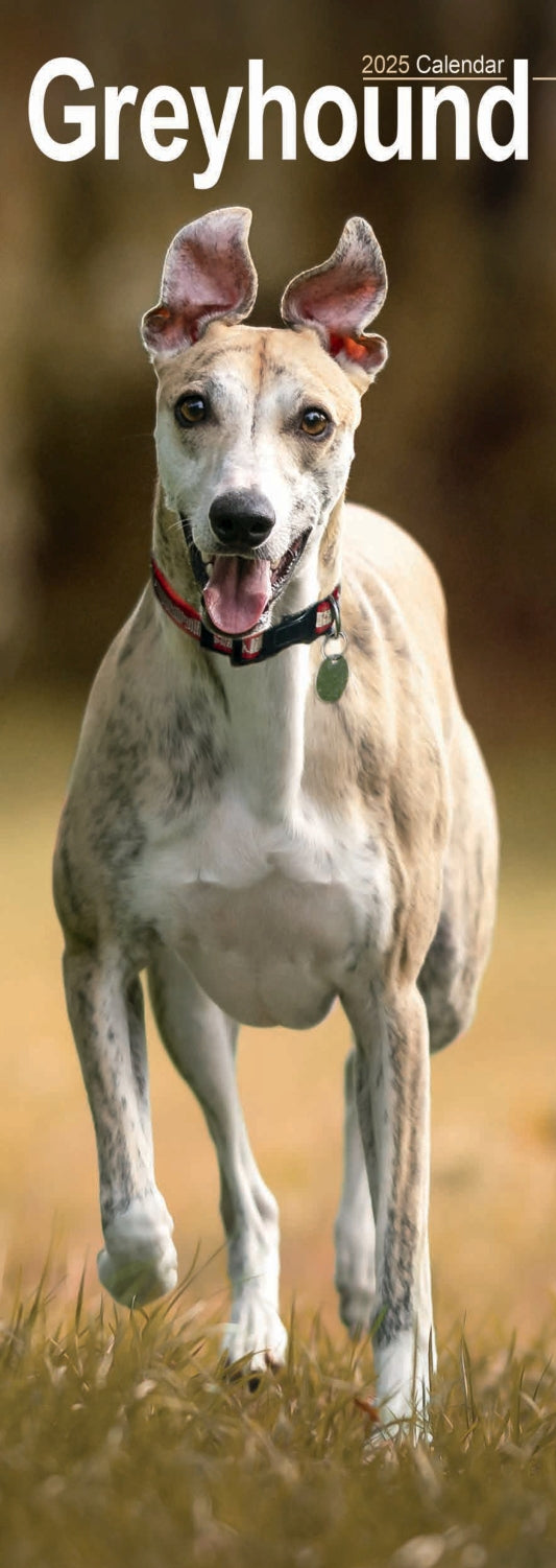 Greyhound Slim Calendar 2025