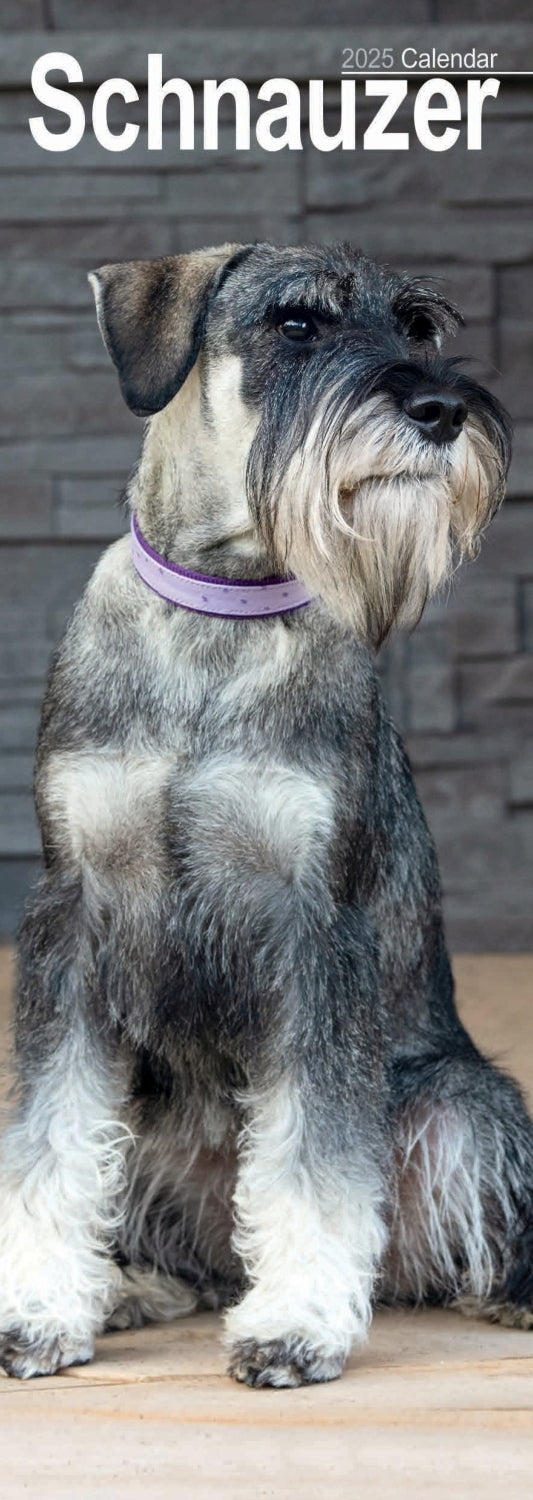 Schnauzer Slim Calendar 2025