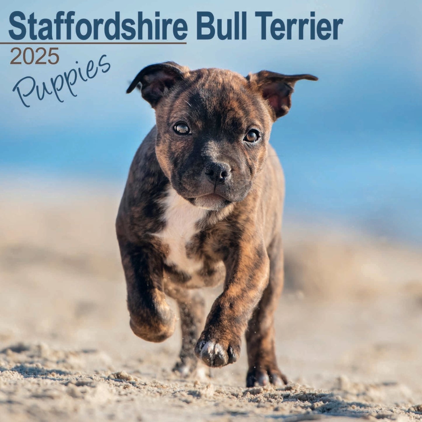 Staffordshire Bull Terrier Puppies Wall Calendar 2025