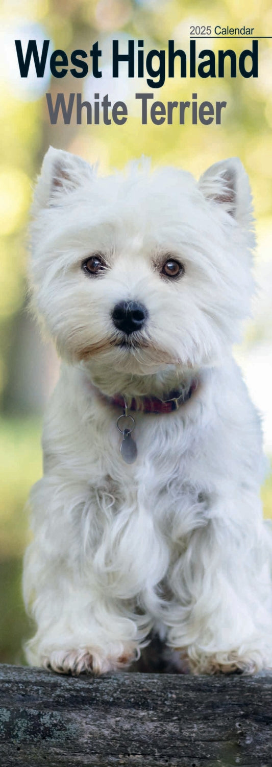West Highland White Terrier Slim Calendar 2025