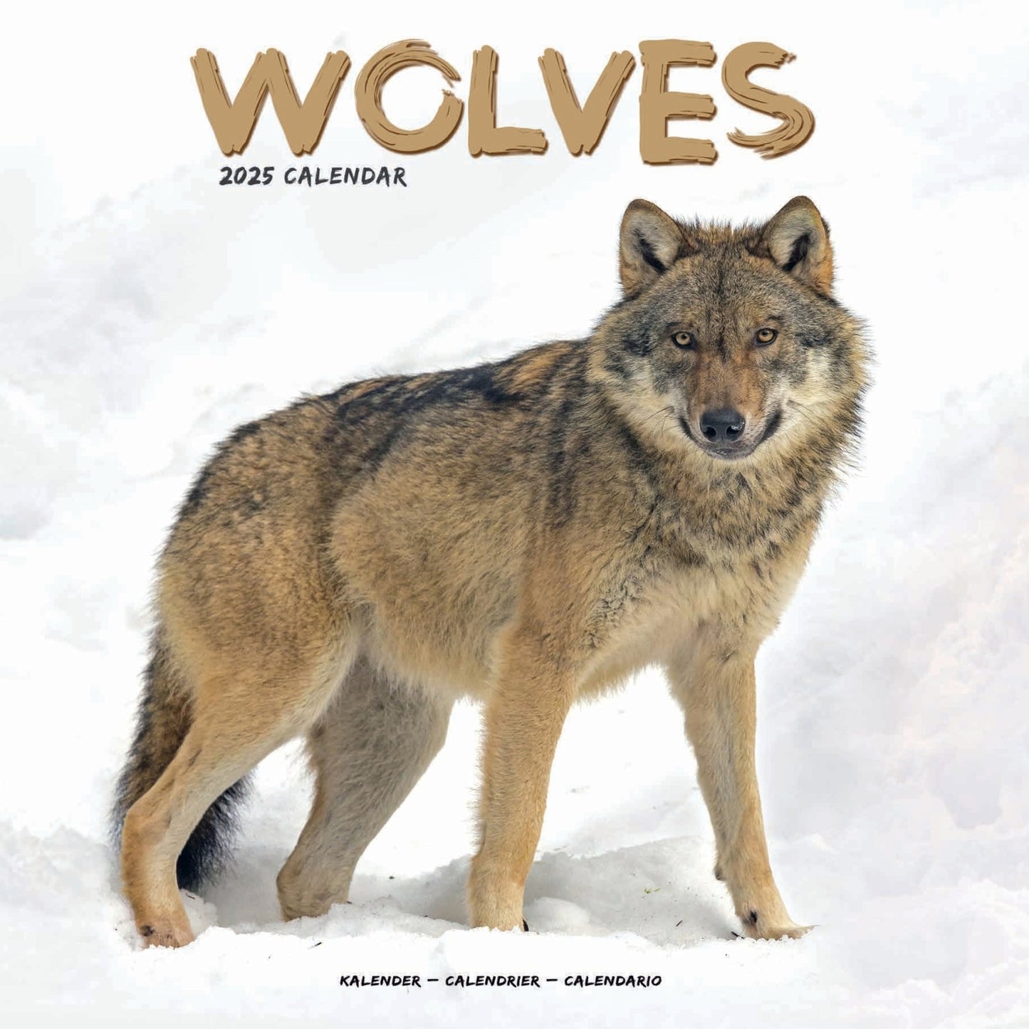 Wolves Wall Calendar 2025