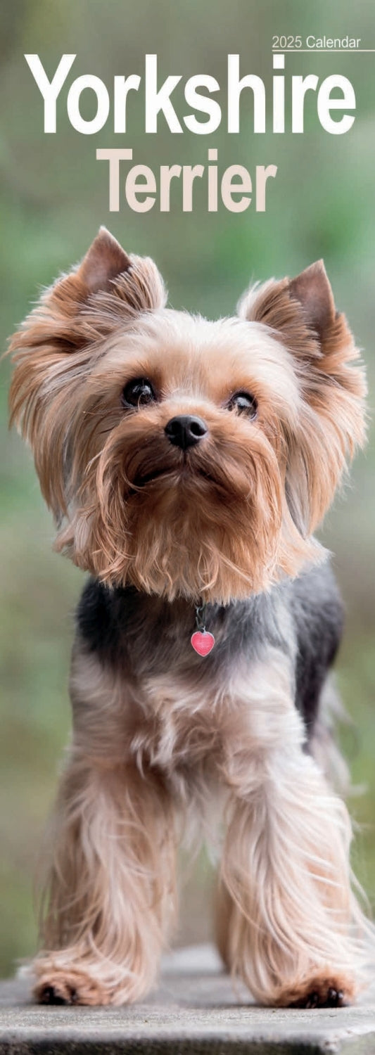 Yorkshire Terrier Slim Calendar 2025