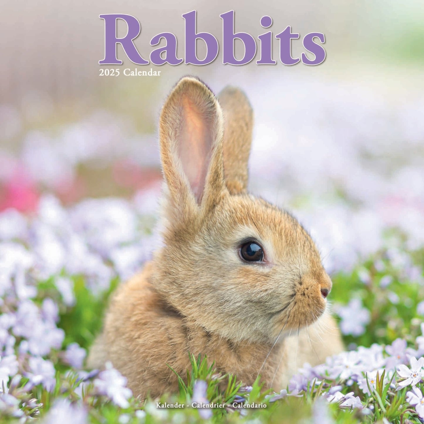 Rabbits Wall Calendar  2025