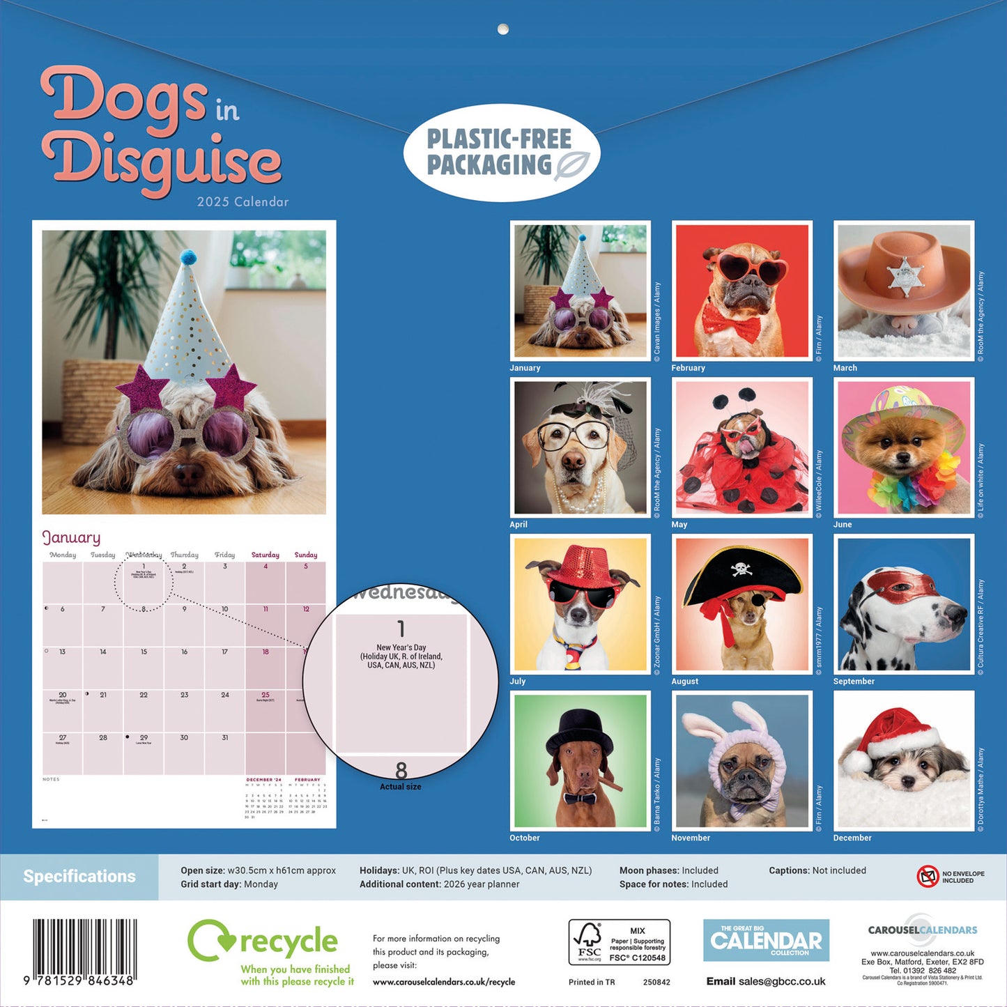 Dogs in Disguise Wall Calendar 2025