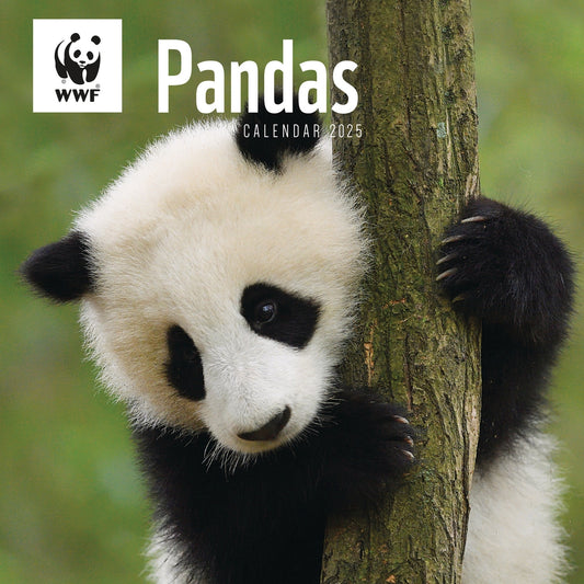 WWF Pandas (PFP) Wall Calendar 2025