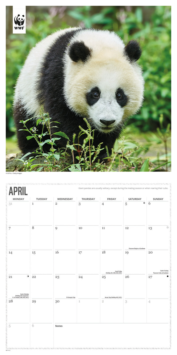 WWF Pandas (PFP) Wall Calendar 2025