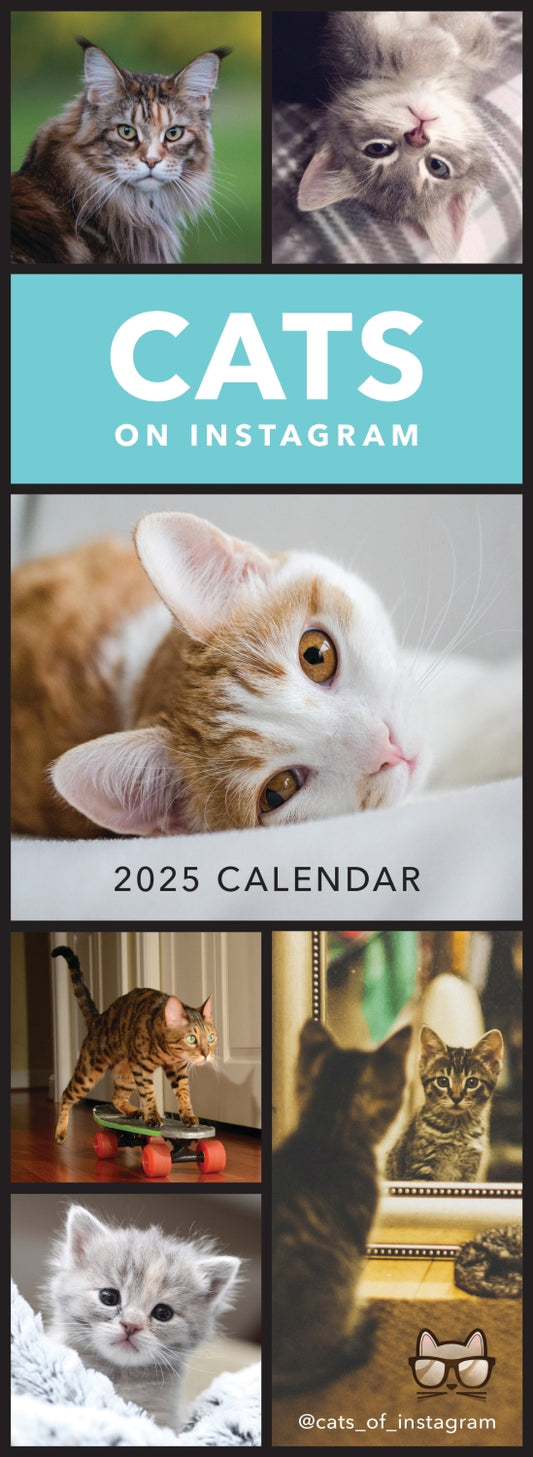 Cats on Instagram Slim Calendar 2025