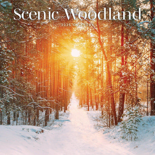 Scenic Woodland Wall Calendar 2025