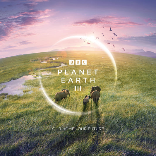 BBC Earth Wall Calendar 2025