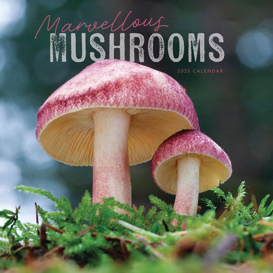 Marvellous Mushrooms Wall Calendar 2025